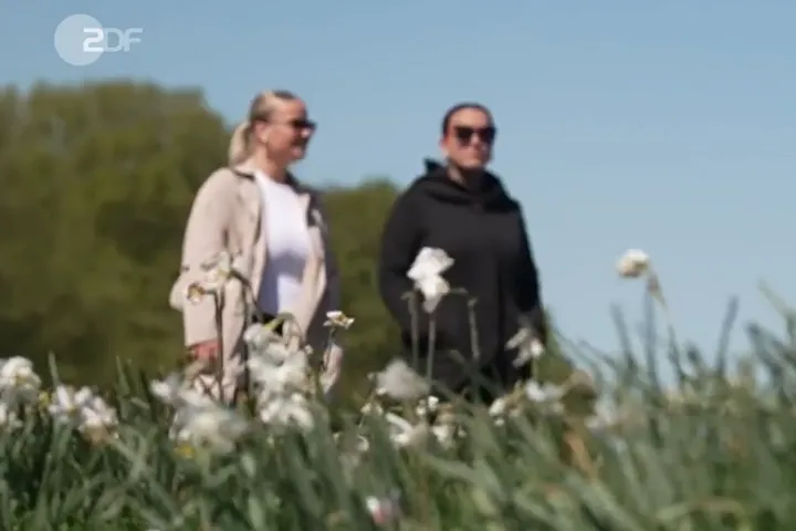Welche Folgen ein Schulabgang ohne Abschluss hat
